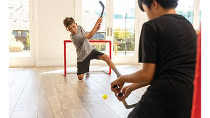SKLZ PRO MINI HOCKEY